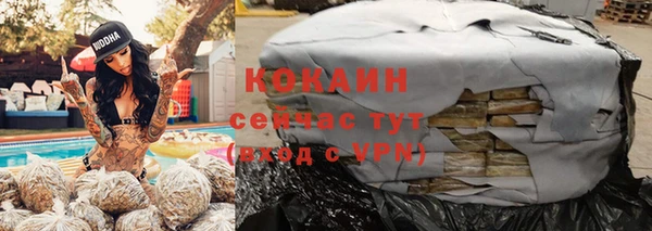 крисы Верея