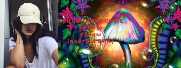 крисы Верея