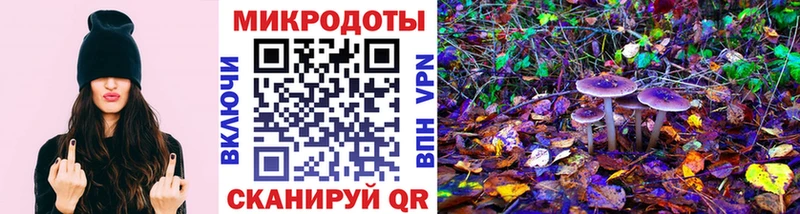 Купить закладки  Карачев  Псилоцибиновые грибы ЛСД 